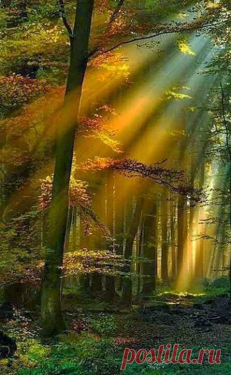 26 марта 2014 г.