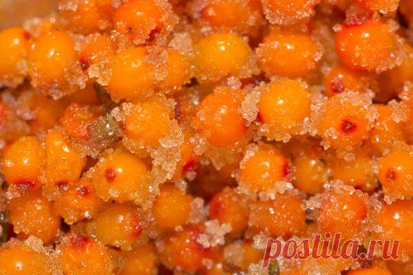 Облепиха: полезные и вкусные рецепты заготовок облепихи на зиму