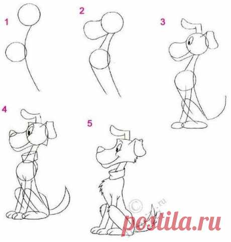 Фотографии на стене сообщества | 10 269 фотографий