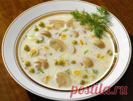Сырный супчик с грибами » Кулинарные рецепты