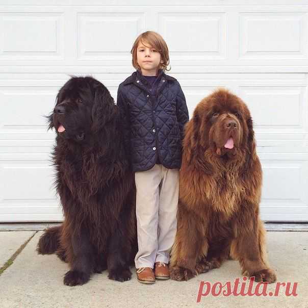 Новости