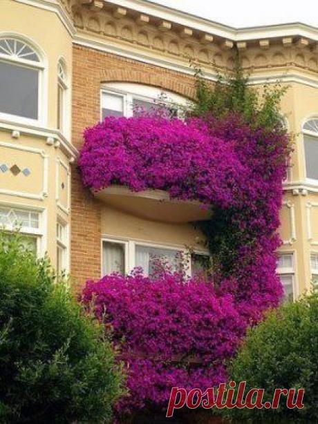 Яркий балкон