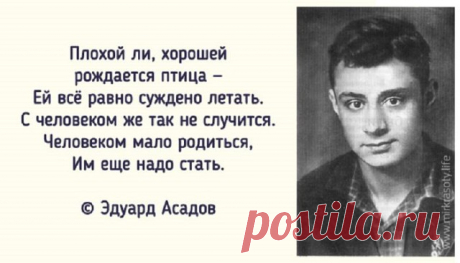 Пока мы живы, можно всё исправить,
Всё осознать, раскаяться, простить.
Врагам не мстить, любимым не лукавить,
Друзей, что оттолкнули, возвратить.

Пока мы живы, можно оглянуться,
Увидеть путь, с которого сошли.
От страшных снов очнувшись, оттолкнуться
От пропасти, к которой подошли.

Пока мы живы… Многие ль сумели
Остановить любимых, что ушли?
Мы их простить при жизни не успели,
И попросить прощенья не смогли...

Когда они уходят в тишину,
Туда, откуда точно нет возврата,
...