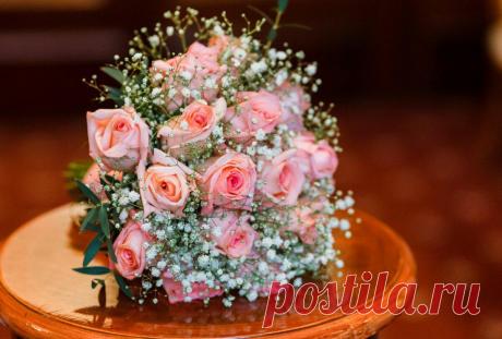 5 свадебных примет, которые на мне не сработали
Ах, эта свадьба, свадьба... Такое манящее слово для многих девушек! Ведь нам с детства внушают, что мы должны выйти замуж, и понравившегося нам в детском саду мальчика называют 'женихом'. На данную статью меня натолкнули видеоролики, коих много в Интернете, где девушки с остервенением борются за букет невесты на чужой свадьбе. Выглядит это весьма...
Читай дальше на сайте. Жми подробнее ➡