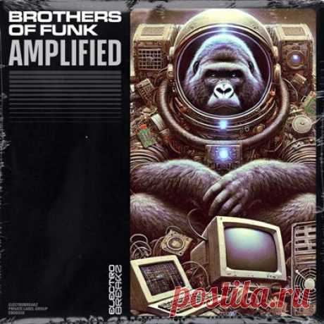 Brothers Of Funk - Amplified