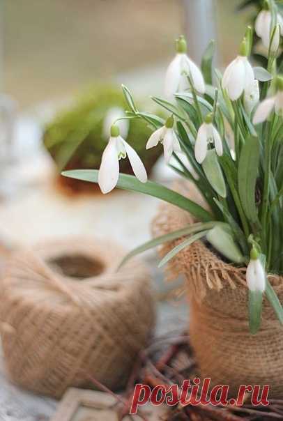 Доброго позитивного утра, друзья!!!😊🥖☕ Отличного настроения,😋👍🌷 добра,👌🎈🌺 тепла🌞🙏🍊 и побольше радостных мгновений!🍬🍒🍭Счастливого вторника!🍰✨🤗