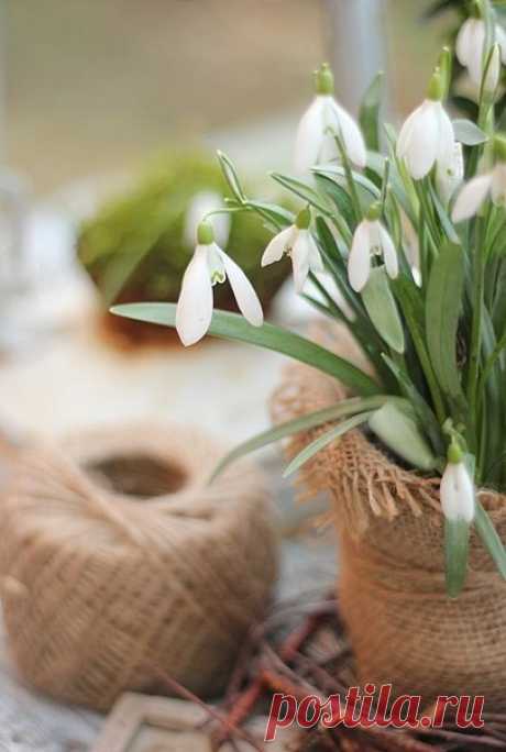 Доброго позитивного утра, друзья!!!😊🥖☕ Отличного настроения,😋👍🌷 добра,👌🎈🌺 тепла🌞🙏🍊 и побольше радостных мгновений!🍬🍒🍭Счастливого вторника!🍰✨🤗