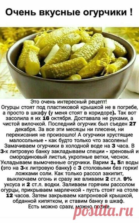 Наша Дача