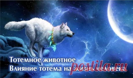 Какое ваше тотемное животное по знаку Зодиака Каждый знак зодиака обладает своими особенными характеристиками и энергией, а еще у них есть свои собственные символы, среди которых и тотемные животные