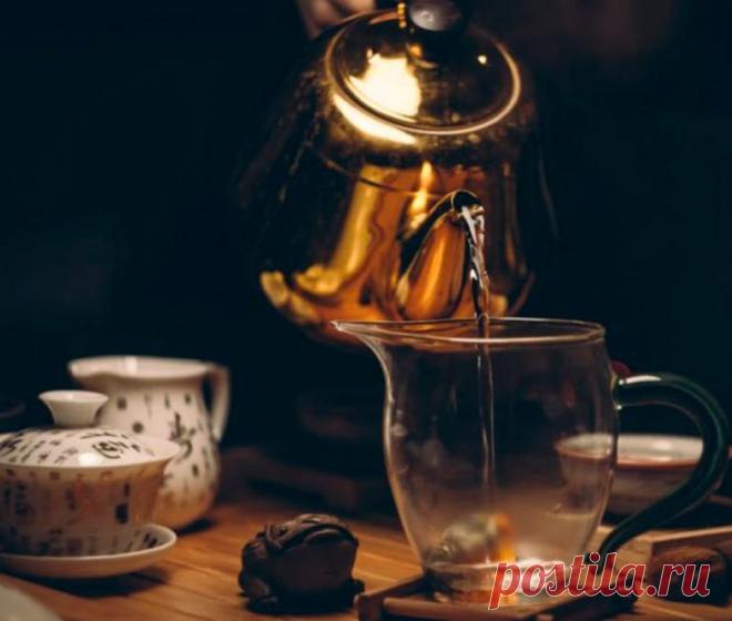 Кипяток, спасающий от болезней. Ушнодака / Будьте здоровы