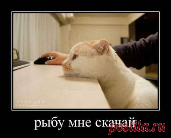 )))