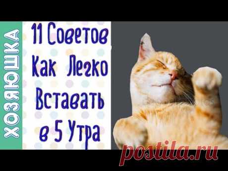 11 Советов Как Научиться Рано Вставать |  Как Лечь Пораньше Спать и Вставать в 5 утра
