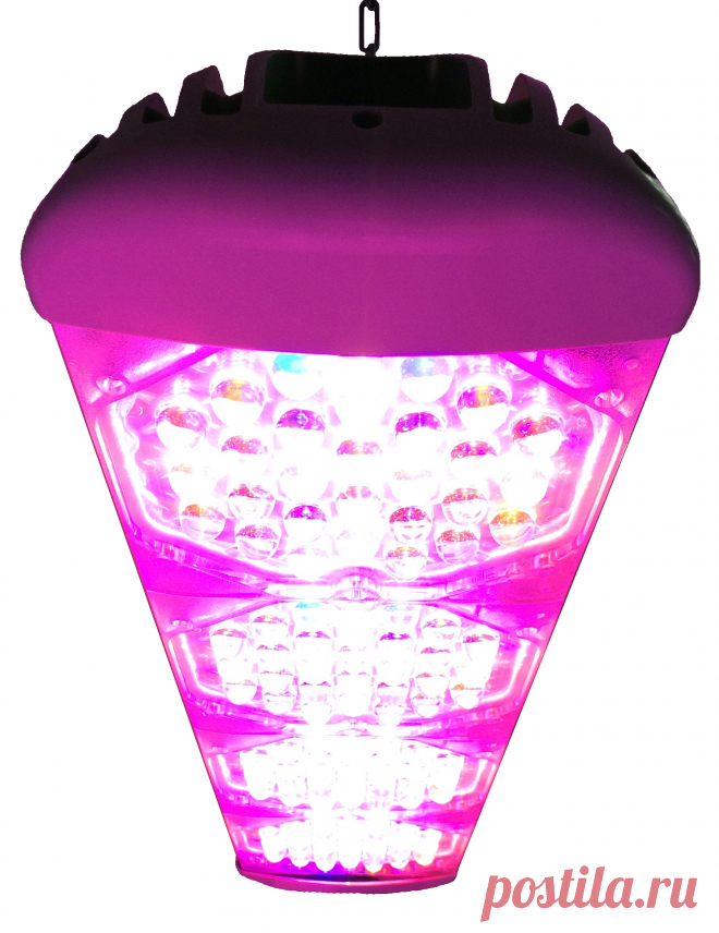 Светодиодный светильник для теплиц TM ECOLED