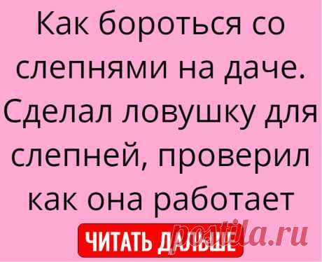 Как бороться со слепнями на даче. Сделал ловушку для слепней, проверил как она работает