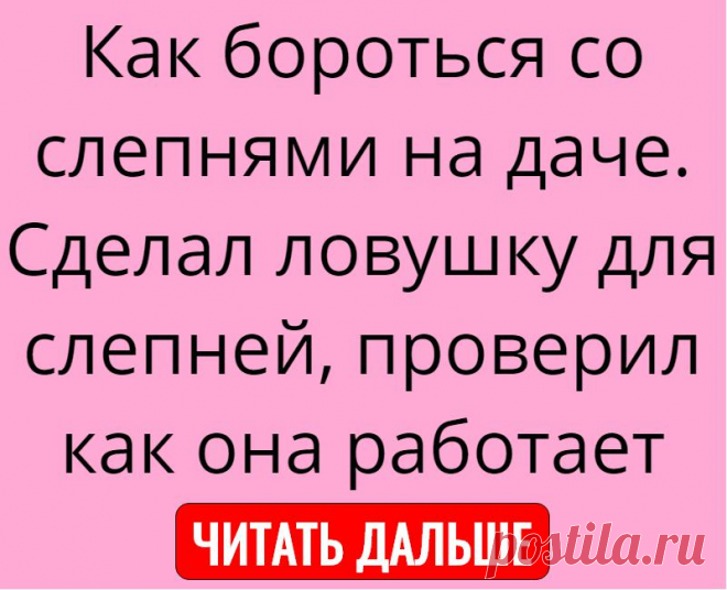 Как бороться со слепнями на даче. Сделал ловушку для слепней, проверил как она работает