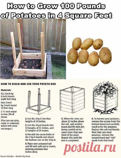 potato-box-1.jpg (600×780)