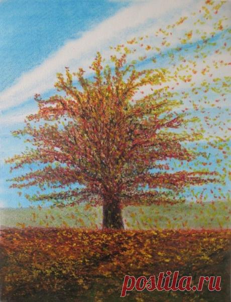 Яркие моменты и настроение. Tomislav Kranjec