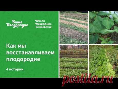 Как мы восстанавливаем плодородие - YouTube