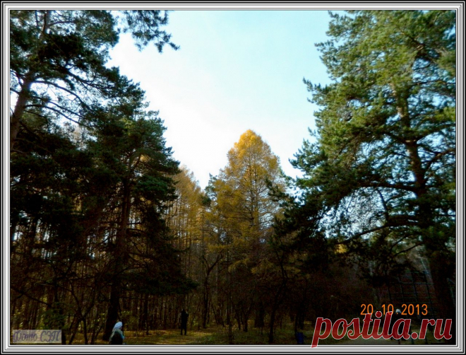 DSCN1232