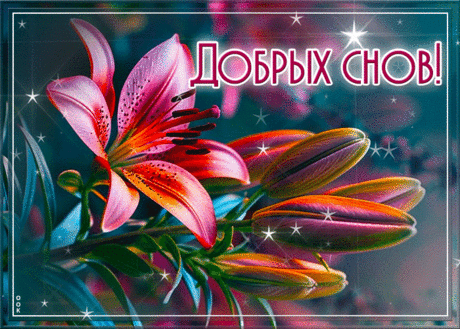 Мечтательная гиф-открытка желает добрых снов