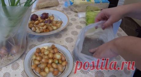 Гениальный способ выращивания зелёного лука дома без земли и горшка...