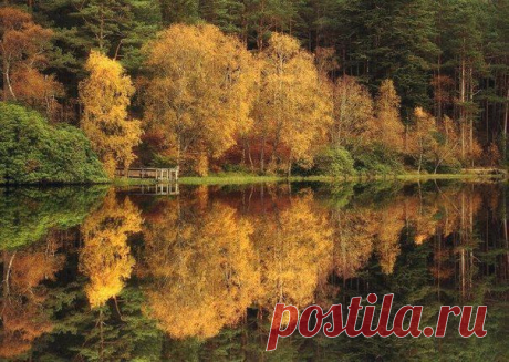 Мой Мир@Mail.Ru