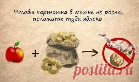 Фабрика идей