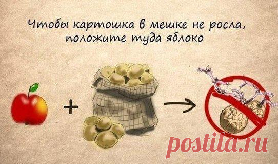 Фабрика идей