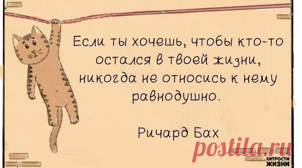 Фотографии на стене сообщества | 32 885 фотографий