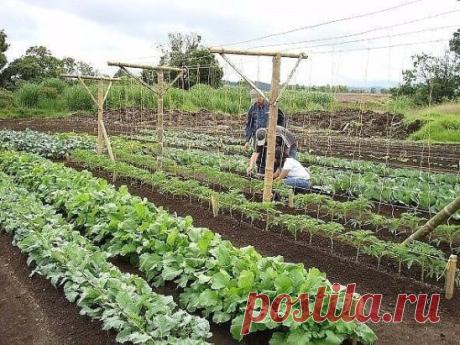 ✔ ПОЛЕЗНЫЕ СОВЕТЫ :
✪ Сохраните чтобы не потерять.