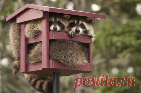 Ипотека ...Перемены происходят лишь тогда, когда мы идем против того, к чему привыкли.