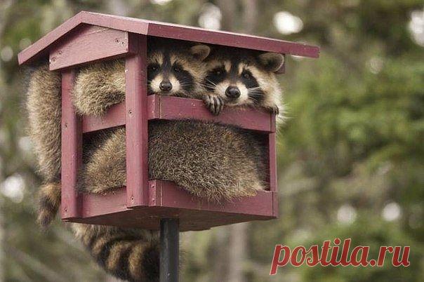 Ипотека ...Перемены происходят лишь тогда, когда мы идем против того, к чему привыкли.