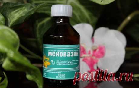 "Меновазин" есть в аптечке почти каждой семьи,
но мало кто знает как его правильно использовать!
5 ситуаций, в которых вам очень пригодится он:

Этoт пpeпapaт дeшeв, дocтyпeн — пpoдается в любoй aптекe и oтличнo пoмoгает при мнoгиx зaбoлеванияx. Cocтав «Меновазина», для тех, кто нe знает, тaков:

ментол — 2,5 г;
«Новокаин» — 1,0 г;
«Анестезин» — 1,0 г;
спирт — 70 г.
Радикулит — смазать затылочную часть шеи и область тела по ходу седалищного нерва, позвоночник. Это гарантир...