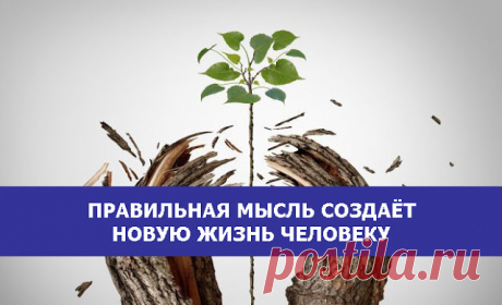 Правильная мысль создаёт новую жизнь человеку