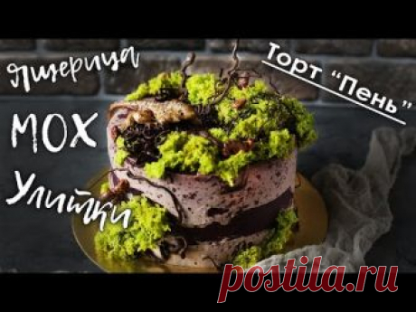 В этом видео показываю оформление торта, лепку ящерицы и улиток из мастики. Так же найдете рецепт и процесс приготовления бисквитного мха и как сделать шокол...
