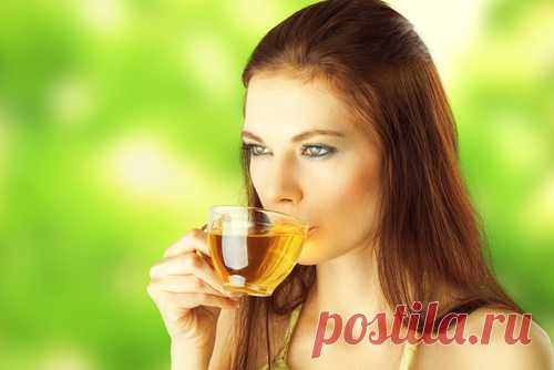 Омела белая (ивная) и липа для похудения - отзывы, где купить травы?