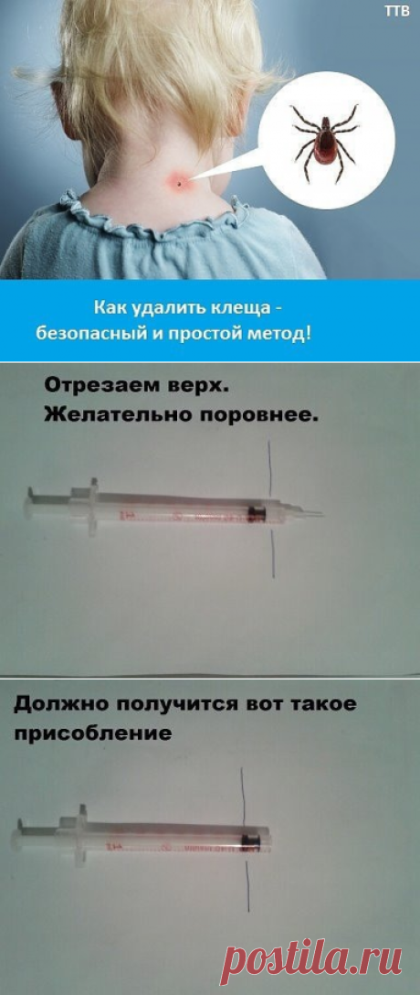 (50) Одноклассники