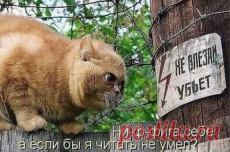 (36) Одноклассники