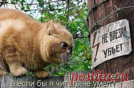 (36) Одноклассники