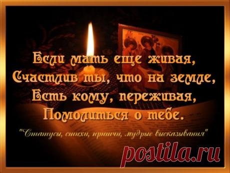 (2) Одноклассники
