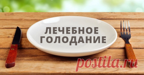 Стиль жизни