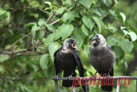 veduga4 — «Не пущу на дискотеку :-))» на Яндекс.Фотках