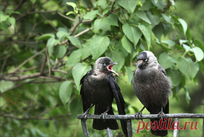 veduga4 — «Не пущу на дискотеку :-))» на Яндекс.Фотках