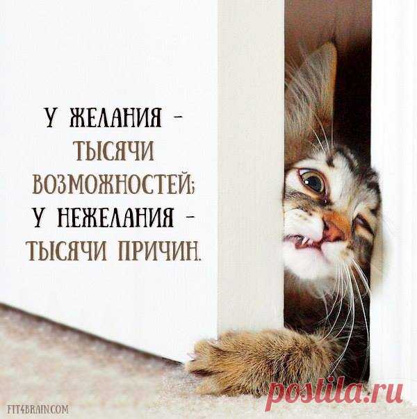 Фитнес для мозга