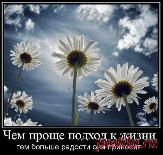 о жизни / Поиск по тегам / Прикольные статусы, афоризмы, мотиваторы