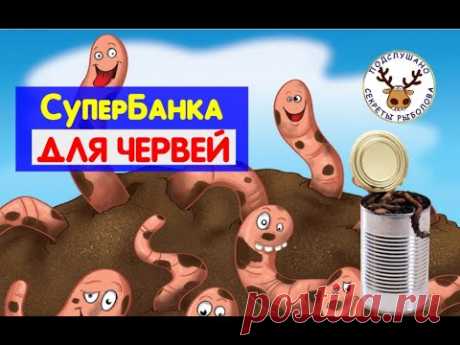 Черви для рыбалки ТЕПЕРЬ ВСЕГДА под рукой. СДЕЛАЙ СЕБЕ ТАКУЮ Супер Банку для червей!