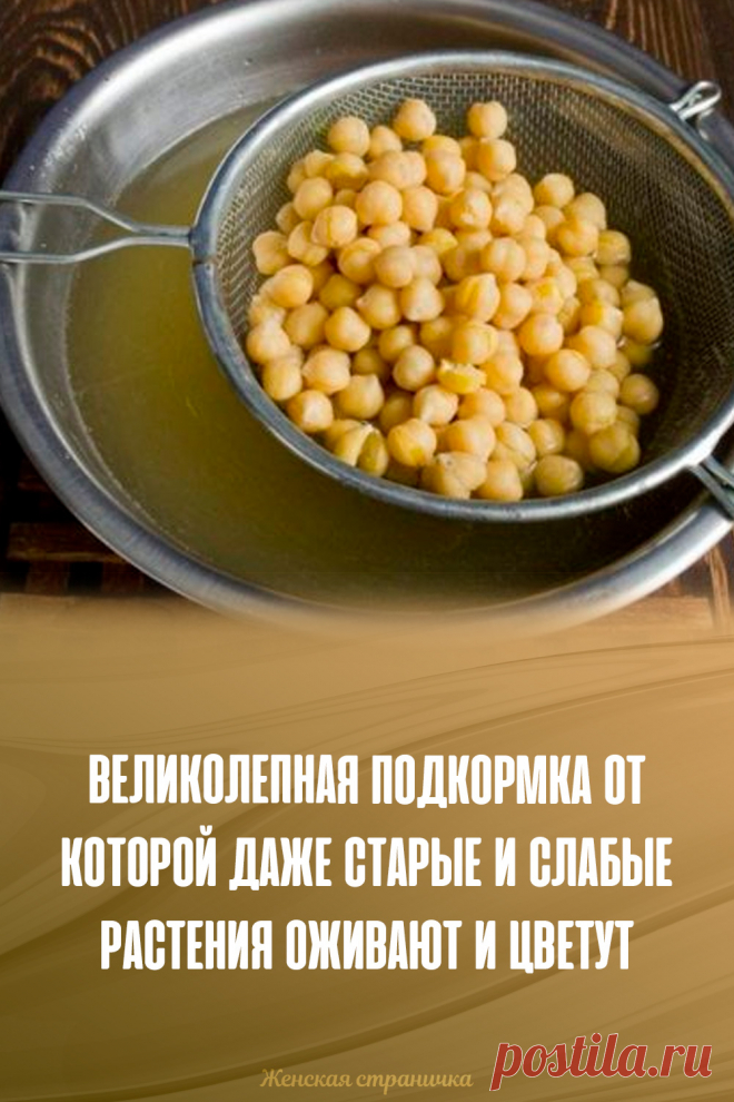 Великолепная подкормка от которой даже старые и слабые растения оживают и цветут