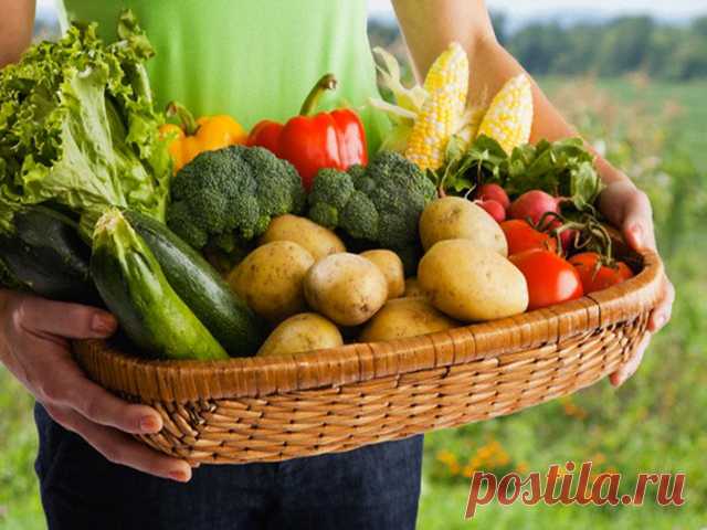 Продукты, содержащие железо. В каких продуктах содержится железо? | Сам себе Гиппократ