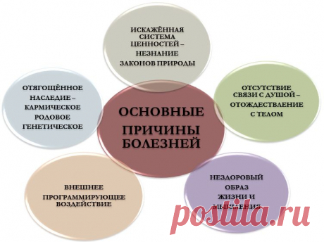 Почему люди болеют? | Познавательный сайт ,,1000 мелочей&quot;