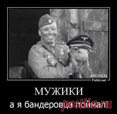 АНТИМАЙДАН И НАС 778 000 - СЛАВА БОГУ ЗА ВСЕ!
Александр Широков